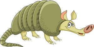 armadillo
