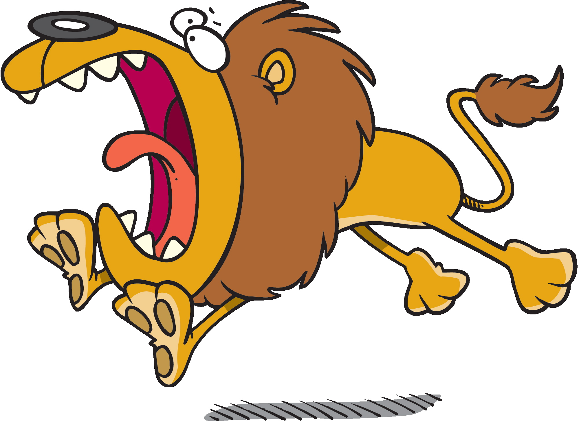 lion roaring